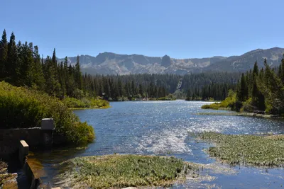 September 2021 - Mammoth